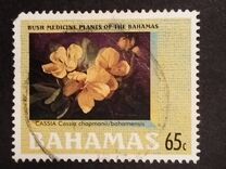 [Medicinal Plants, Tipi ANB]