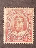 [Coronation of King George V - The Royal Family, type BP]