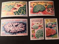 [Corals, tegund EA]