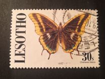 [Butterflies, Scrivi AGQ]