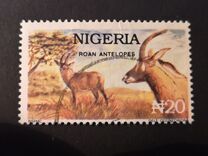 [Wildlife, tegund UB]