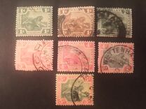 [Tiger - Different Watermark, type C8]