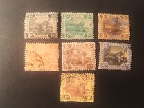 [Tiger - Different Watermark, typ C39]