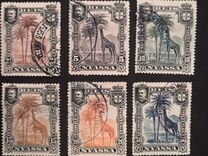 [Giraffe, type C]