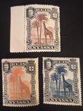 [Giraffe, type C]