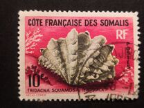 [Mussels and Snails, Typ DT]