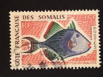 [Fish and Birds, タイプ DD]