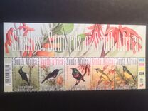 [South African Birds, type BYO]
