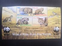 [Endangered Species - Black-footed Cat, type AEH]