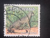 [Mammals, type ABV]