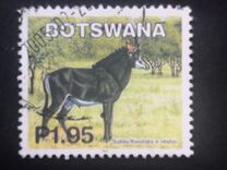 [Mammals, τύπος ACB]
