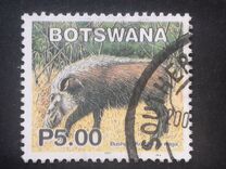 [Mammals, τύπος ACG]