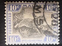 [Tiger - Different Watermark, typ C53]