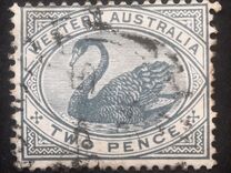 [Black Swan - New Designs, Typ L]