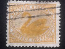 [Black Swan & Queen Victoria - New Watermark, Вид R3]