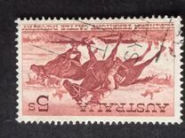 [Northern Territory Cattle Breeding, tegund GE]