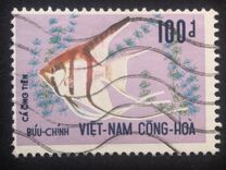 [Marine Fish, Вид GU]