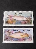[Fish, тып AWZ]