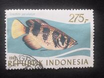 [Tropical Fish, 类型 AQK]