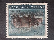 [Wild Life Week, type FM]