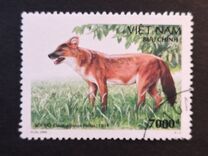 [Animals in Ben En National Park, Typ CQR]