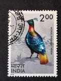 [Indian Birds, type QH]