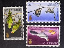 [Jersey Wildlife Preservation Trust, type J]