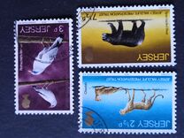 [Jersey Wildlife Preservation Trust, տեսակ AO]