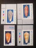 [Seashells, Typ ARP]