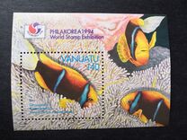 [Anemonefish, type NW]