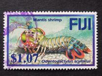 [Coral Reef Shrimps, type AKL]