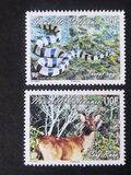 [Landscapes and Animals of New Caledonia, Scrivi AUO]