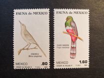 [Mexican Flora and Fauna, typ BIT]