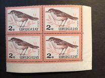 [Birds, type PE]