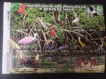 [Preservations of the Mangrove Swamps and Tidal Zones, type DWF]