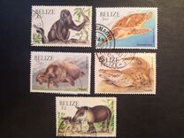 [Wildlife, τύπος ABC]