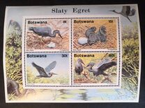 [Birds - Slaty Egret, type QM]