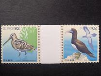 [Water Birds - Latham's Snip & Brown Booby, type CHE]