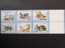 [Ducks, type ASZ]