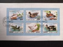 [Ducks, type ASZ]