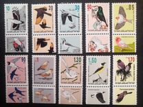 [Songbirds, Вид AUG]