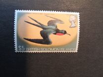 [Flora and Fauna, type EN]
