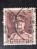 [King Albert, Вид DX3]