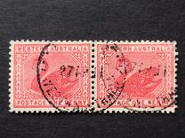 [Black Swan & Queen Victoria - New Watermark, Вид K6]