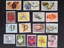 [Flora and Fauna, type NG]