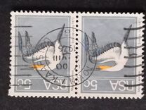 [Flora and Fauna, type NK]