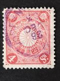 [Chrysanthemum, type AJ4]