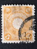 [Chrysanthemum, type AJ5]