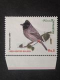 [Birds - Red-Vented Bulbul, type AVO]
