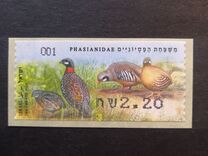 [Birds of Israel, Tip BWW]